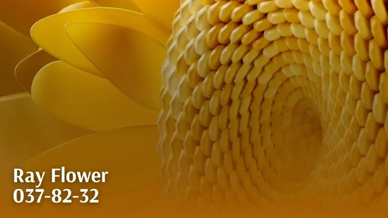 Ray Flower