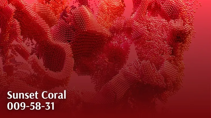 Sunset Coral