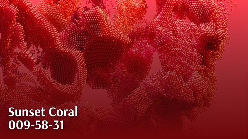 Sunset Coral