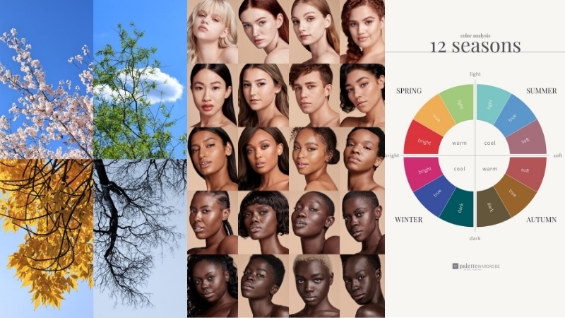 A ciência da coloração e o legado de Suzanne Caygill